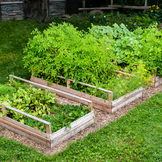 Custom Backyard Greenhouse Adaptable Builds - Garden Boxes