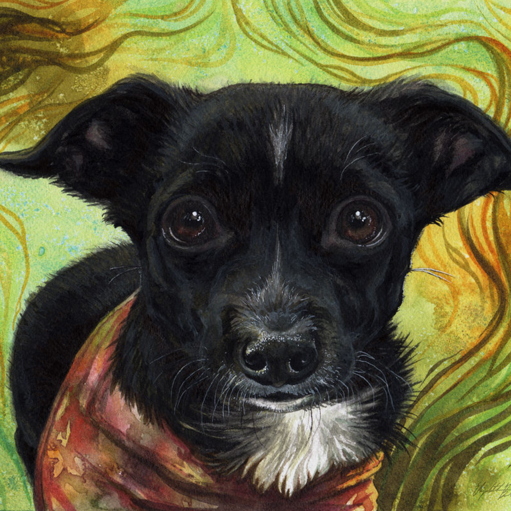 Watercolor painting by Virginia W Beall of a black dog with a white chest and forehead stripe wearing a red and orange patterned bandana against a vibrant swirling green and gold background