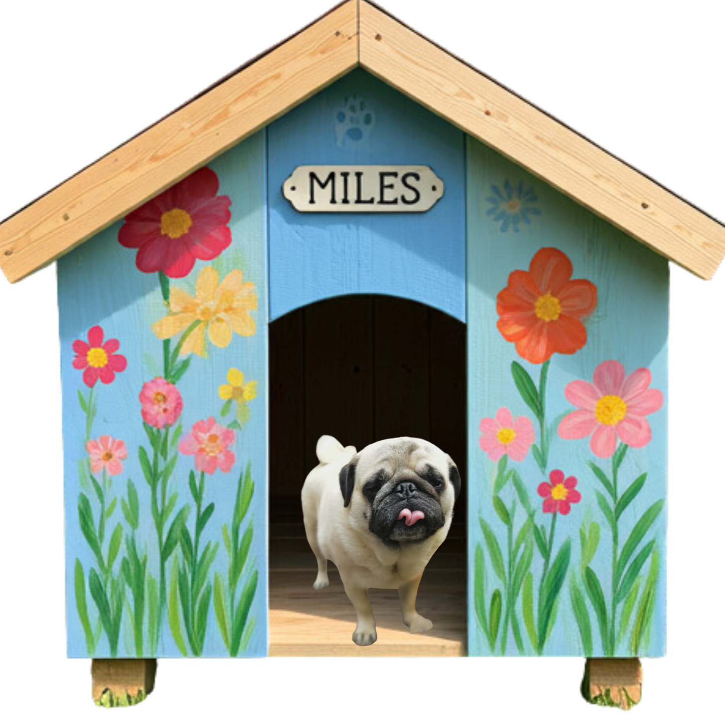 A photograph of a light-colored pug with its tongue out standing in the doorway of a vibrant blue dog house adorned with colorful floral paintings and a MILES name tag
