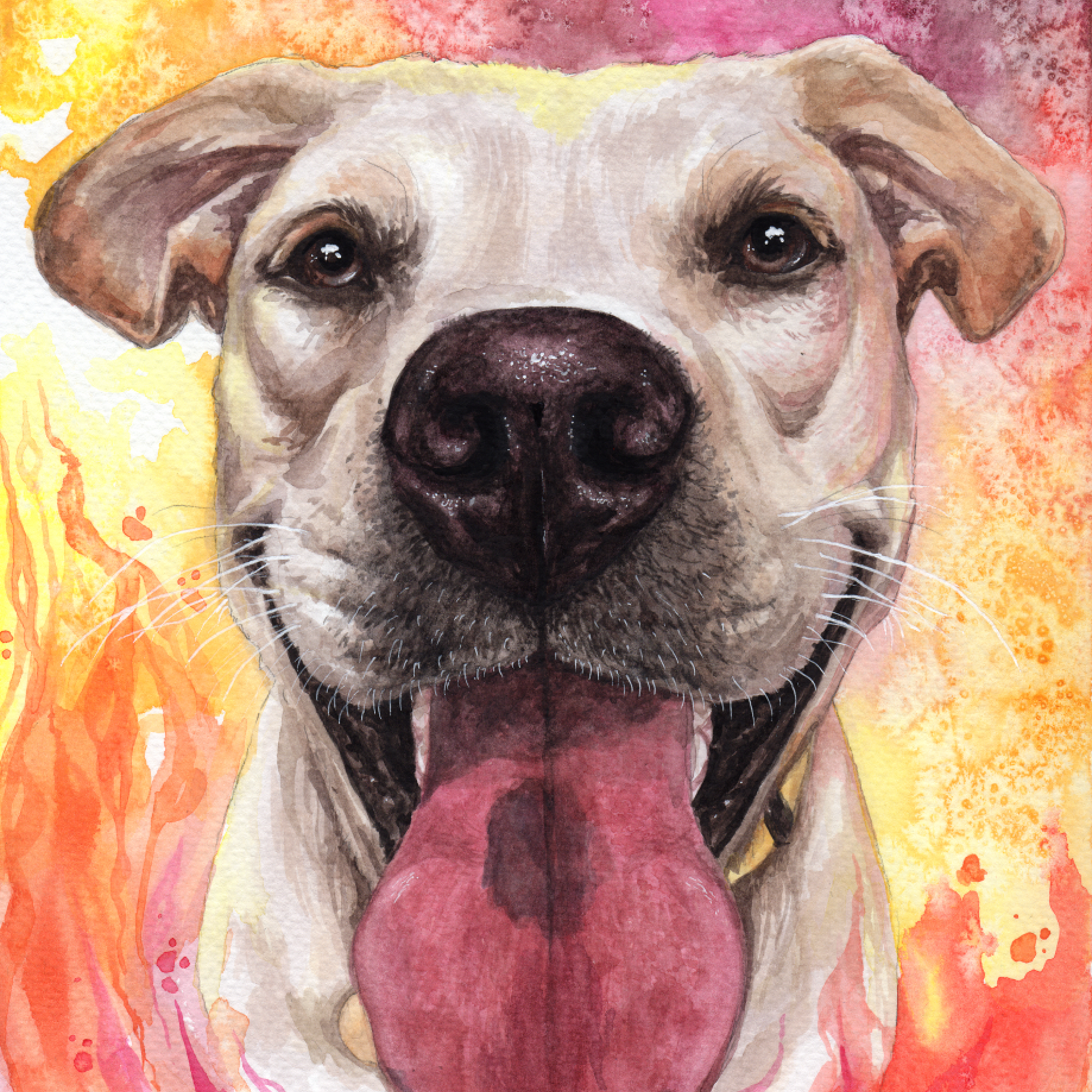 Watercolor portrait of a happy light-colored Labrador Retriever dog with dark brown eyes and a prominent pink tongue set against a vibrant abstract background of yellow, orange, and fuchsia washes