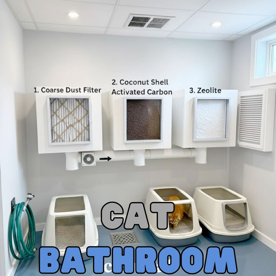 Cat Bathroom