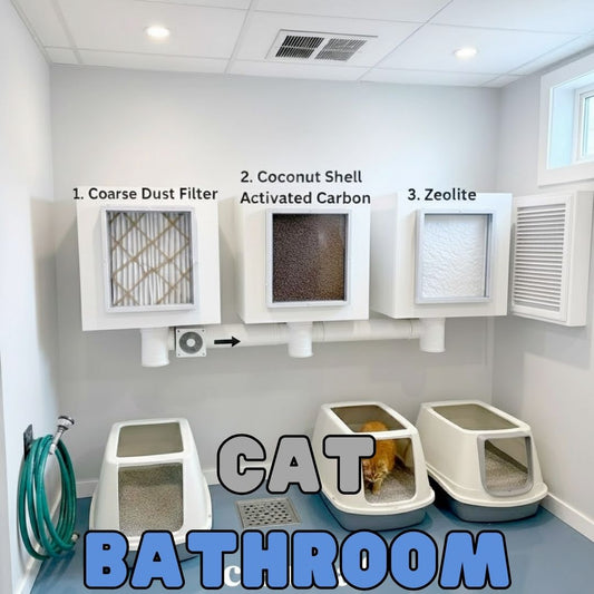 Cat Bathroom