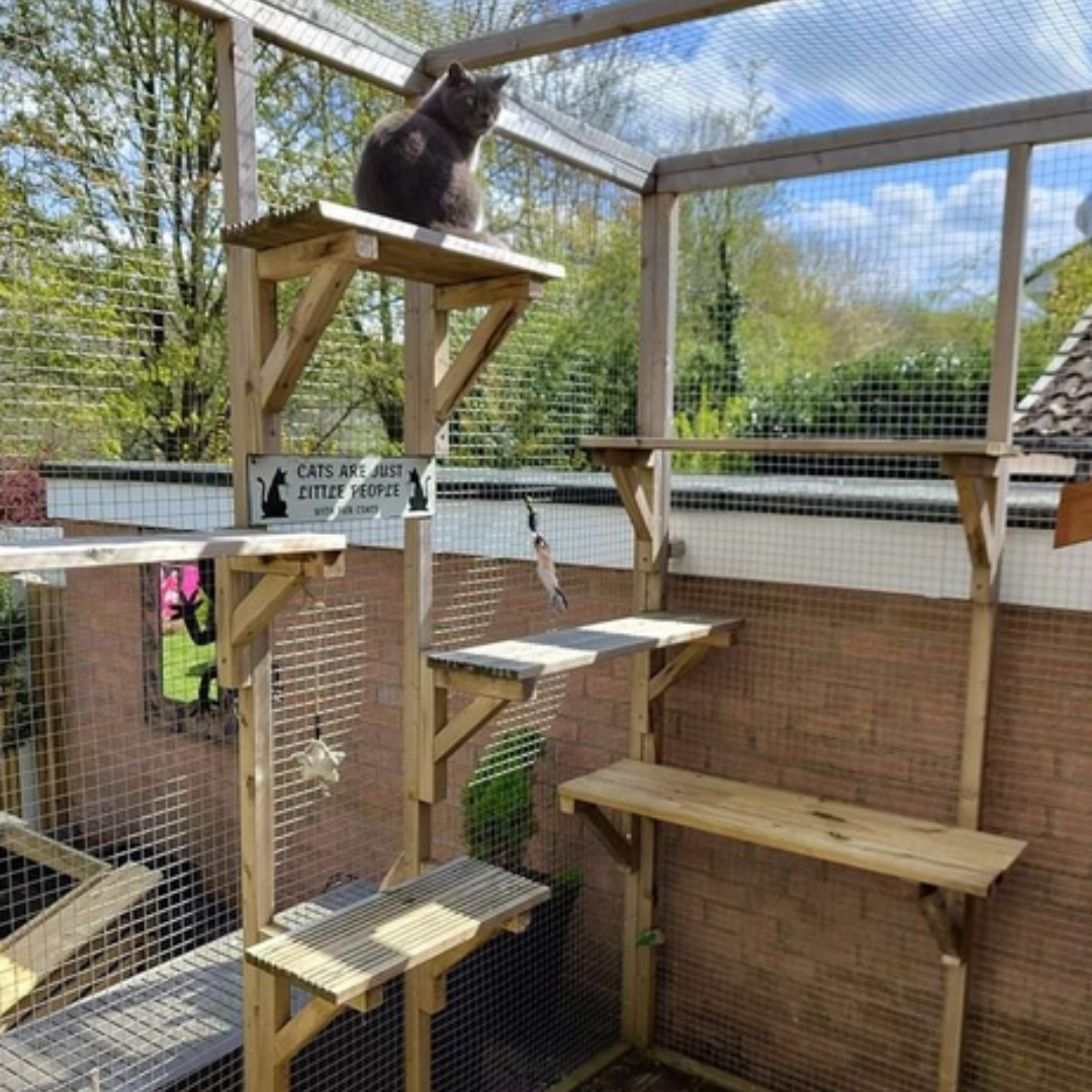 A grey cat perched on the highest wooden platform within a multi-level outdoor catio enclosure against a brick wall, featuring a "Cats are just little people" sign and a hanging bird toy