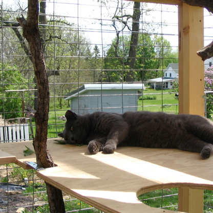 Photograph of a large grey cat napping on a wooden shelf inside a spacious wire mesh catio, its face resting on green leaves, with a natural tree branch post and a distant white house and small blue shed visible beyond lush green trees and grass