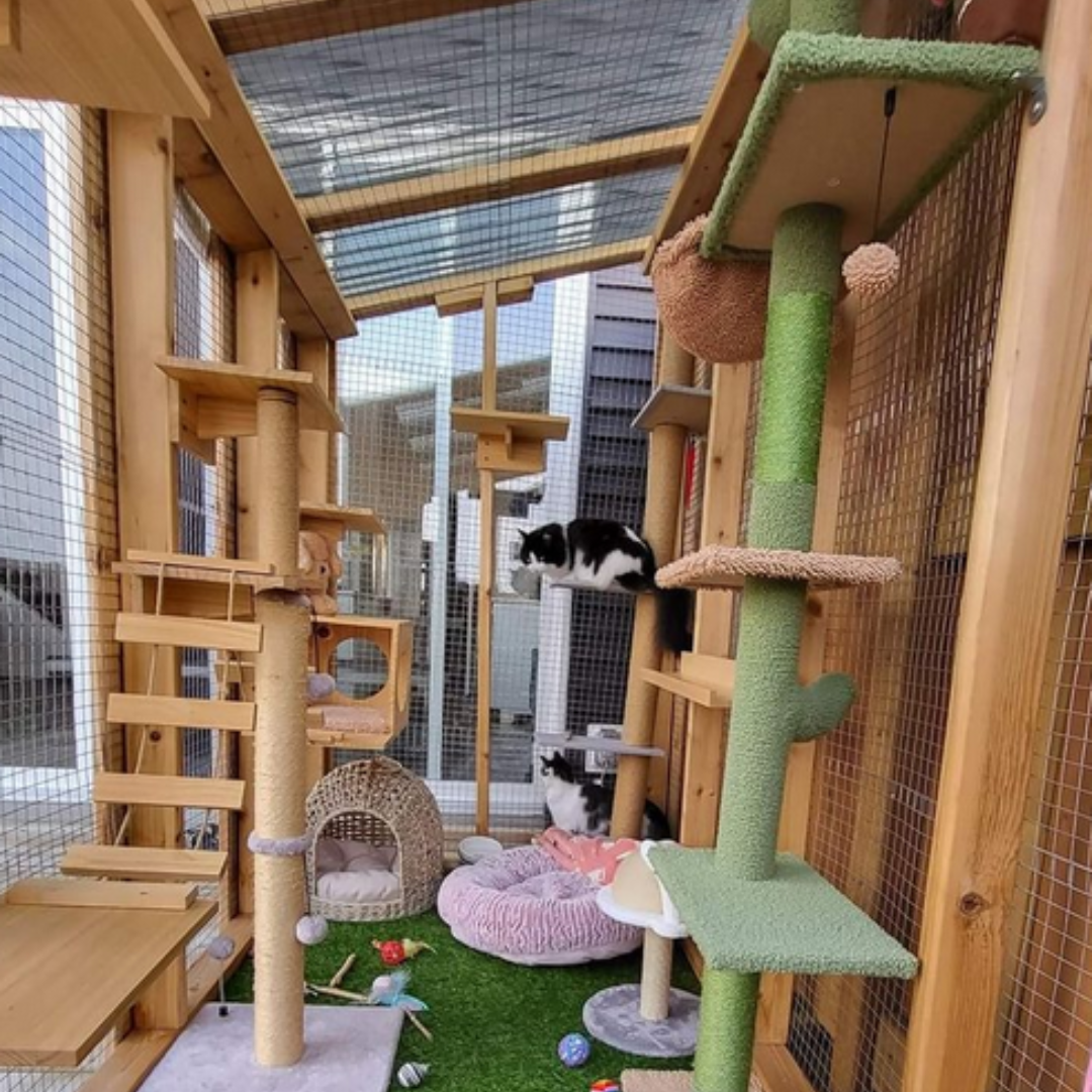 An elaborate outdoor catio featuring multiple levels of natural wood platforms, tall green cactus-shaped cat trees, two black and white cats, one lounging on a high shelf and another near a pink plush bed, on a vibrant green turf floor with toys and a wicker cave