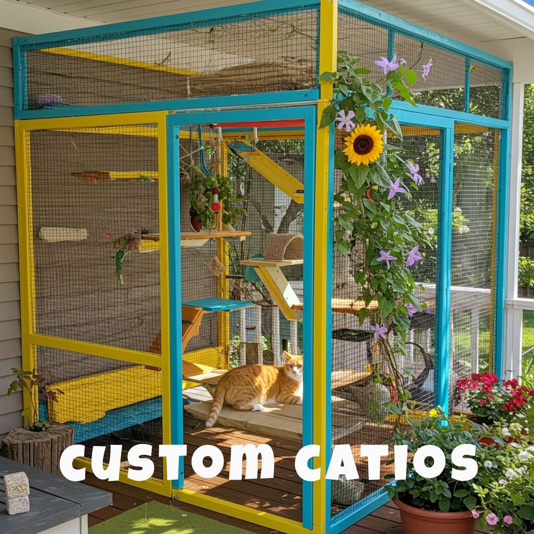 A brightly colored custom catio with yellow and teal blue frames on a wooden deck, an orange tabby cat rests inside, while a climbing vine with a prominent sunflower and purple flowers grows up the side