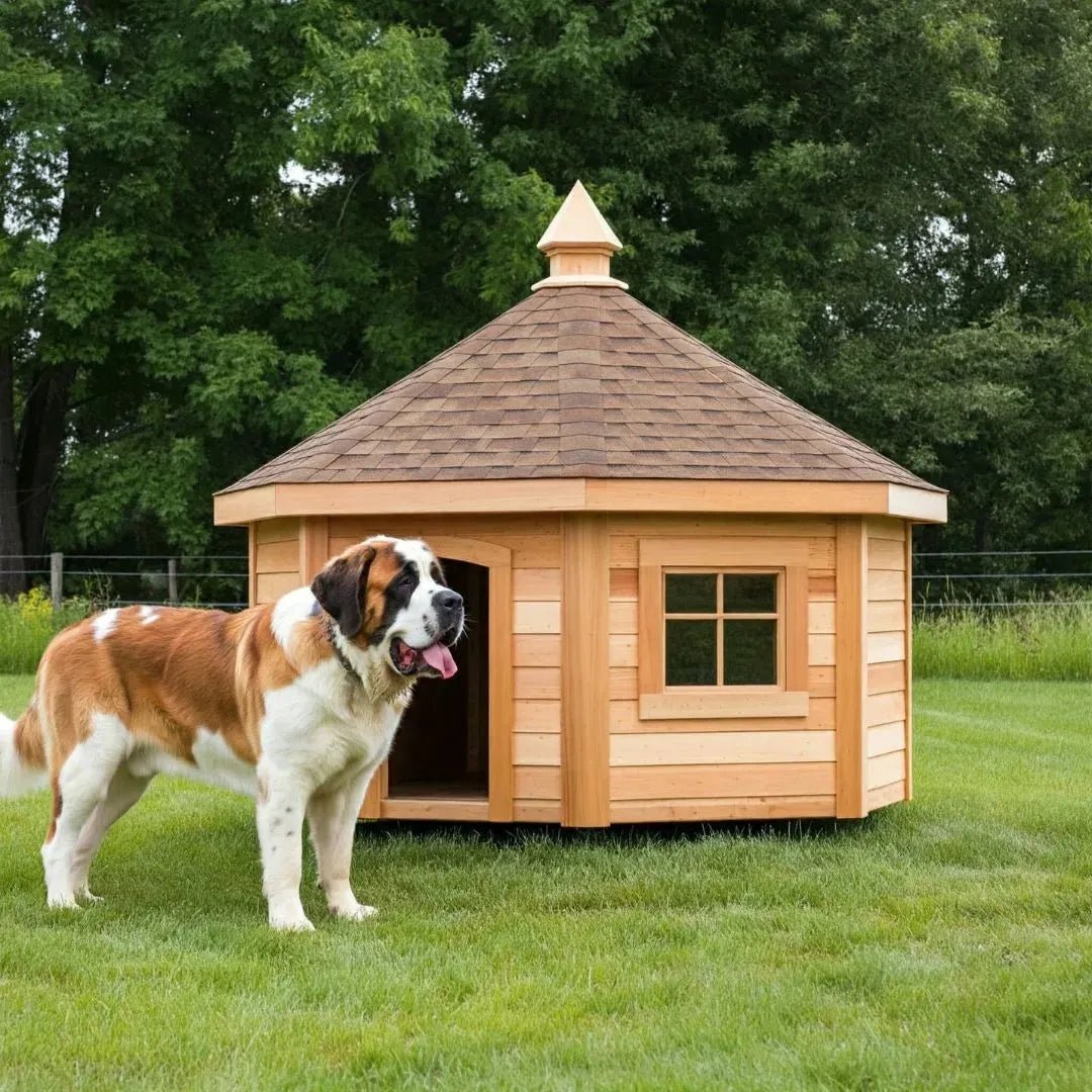 Dog Home Size - Healthy Homes Atlanta
