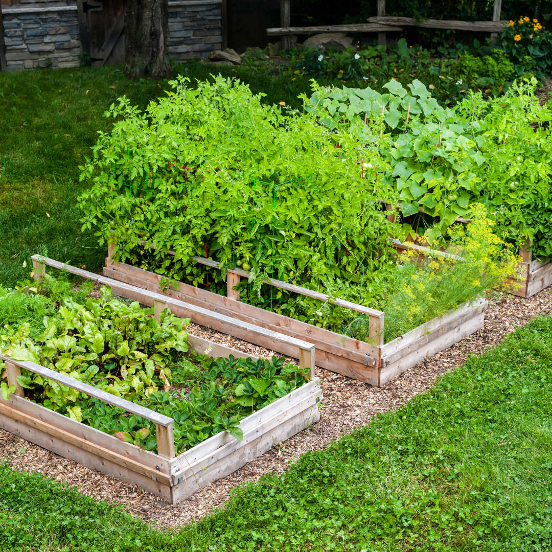 Custom Backyard Greenhouse Adaptable Builds - Garden Boxes