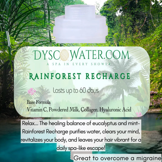 Rainforest Recharge shower filter purifies water with eucalyptus and mint, revitalizing body and mind for a spa-like escape.