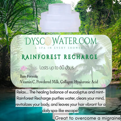 Rainforest Recharge - Healthy Homes Atlanta