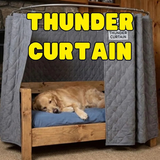 Thunder Curtain - Healthy Homes Atlanta
